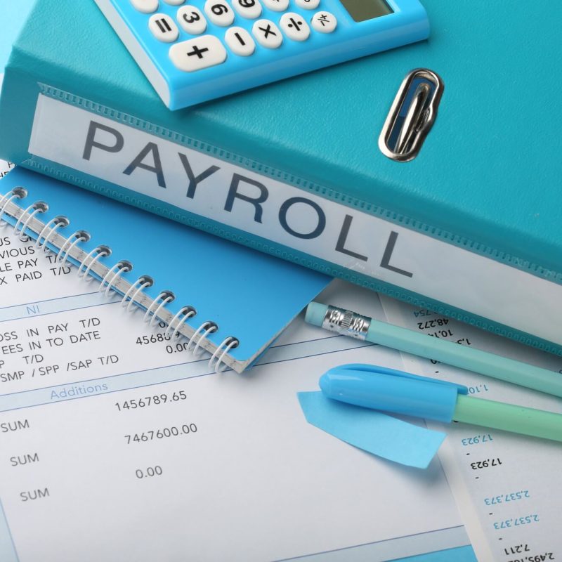 Payroll , recruitment, hr services (5)